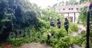 (VIDEO) COPAC RUPT DE VIJELIE PE BULEVARD