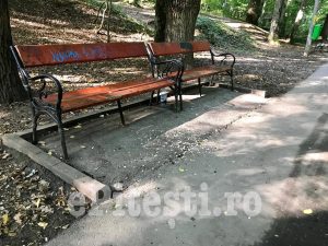 (VIDEO) BĂTAIE DE JOC ÎN TRIVALE!