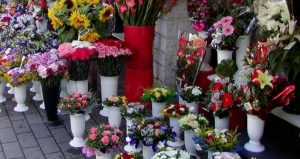 SURPRIZĂ NEPLĂCUTĂ PENTRU FLORĂRESELE DIN PITEȘTI