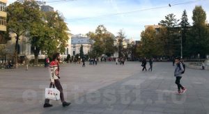 PROPRIETARII DE CÂINI DIN PITEȘTI, LUAȚI ÎN VIZOR DE PRIMĂRIE