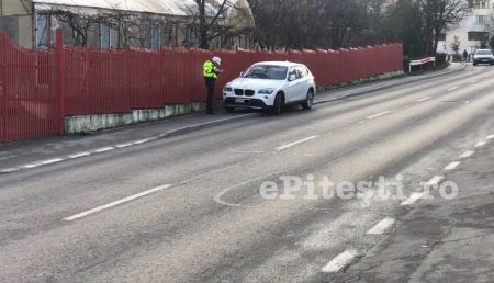 (VIDEO) POLIȚIA LOCALĂ TAIE ÎN CARNE VIE ÎN GĂVANA