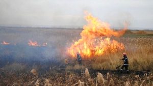 SERIE DE INCENDII LA ACEASTĂ ORĂ ÎN ARGEȘ