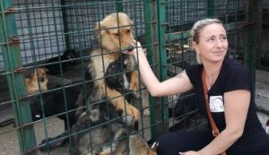 ADOPTĂ UN CÂINE! VEZI NUMĂRUL LA CARE POȚI SUNA!