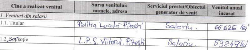 Averile È™efilor De La PoliÈ›ia LocalÄƒ PiteÈ™ti Epitesti