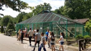 NOI ”VEDETE” LA ZOO TRIVALE