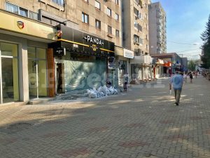 (VIDEO) LOVITURĂ PENTRU COVRIGĂRIA PANDA DE PE GRIVIȚEI