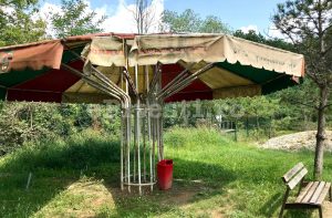 (VIDEO) PRIMITE DE LA CORNUL VÂNĂTORULUI, FĂCUTE ZDRENȚE LA ZOO TRIVALE