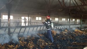 (VIDEO) UPDATE: INCENDIU VIOLENT. DEPOZIT FĂCUT SCRUM