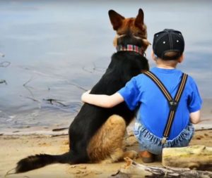 PROGRAM EDUCAŢIONAL ÎN MIOVENI