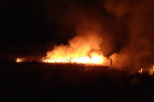 UPDATE: INCENDII PE AUTOSTRADA PITEŞTI-BUCUREŞTI