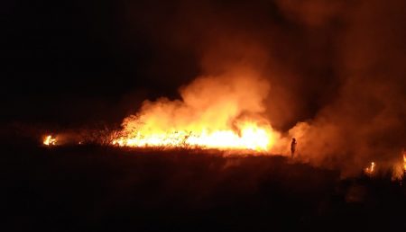 UPDATE: INCENDII PE AUTOSTRADA PITEŞTI-BUCUREŞTI