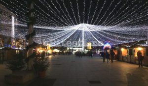 BUGET PENTRU NOI INSTALAŢII ORNAMENTALE ÎN PITEŞTI