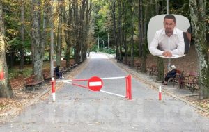 PĂDUREA TRIVALE, LĂSATĂ PRADĂ RECHINILOR IMOBILIARI? CONSILIER LOCAL, IPOTEZĂ ALARMANTĂ