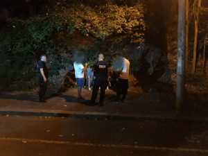 POLIȚIA LOCALĂ A DAT IAMA ÎN GĂȘTILE DE CARTIER. LEGITIMAȚI ȘI AMENDAȚI