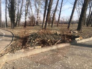 (VIDEO) TOALETĂRI ÎN PARCURILE PITEȘTIULUI