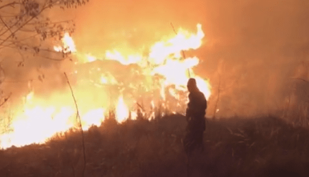 Incendiu uriaș în Argeș! Pompierii s-au luptat cu flăcările mai bine de 5 ore