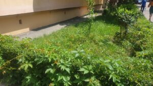 PITEȘTI: UN BĂRBAT S-A ARUNCAT DE LA ETAJUL 4