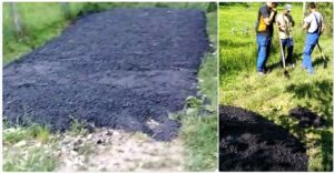 VIDEO: LUCRARE DE POMINĂ LA MIHĂEŞTI. ASFALTUL, TURNAT DIRECT PE IARBĂ