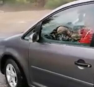 VIDEO: UN ȘOFER BLOCAT LA NUCȘOARA A FILMAT CE S-A ÎNTÂMPLAT