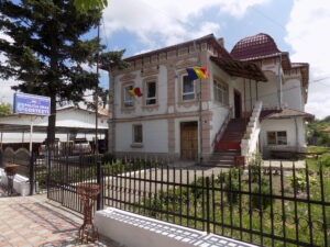 Video/Update: Puștii care au ucis doi căței au recunoscut polițiștilor fapta 