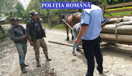 AU RĂMAS FĂRĂ CĂRUȚE DUPĂ CE AU FOST PRINȘI LA FURAT DE LEMNE. DOI MINORI, PRINTRE AUTORI