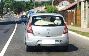 CE MAI CARĂ ROMÂNII CU DACIA? IMAGINI INEDITE SURPRINSE PE UN DRUM EUROPEAN