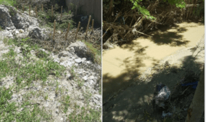 VIDEO: COPACI PLANTAȚI ÎN ALBIA RÂULUI ȘI BOLOVANI ADUȘI ÎN DRUM. CUM ÎȘI LĂRGEȘTE PROPRIETATEA UN LOCALNIC DIN VALEA DANULUI