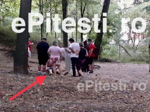 (VIDEO) DIN PĂDURE, DIRECT LA SPITAL. O PANTĂ ABRUPTĂ I-A VENIT DE HAC