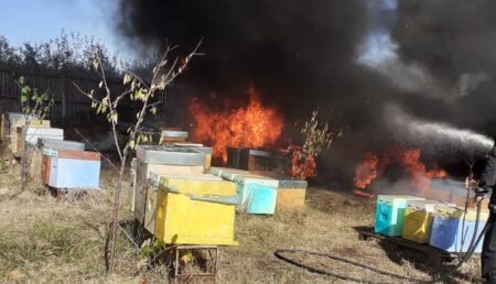 INCENDIU LA STUPI ÎN TOPOLOVENI