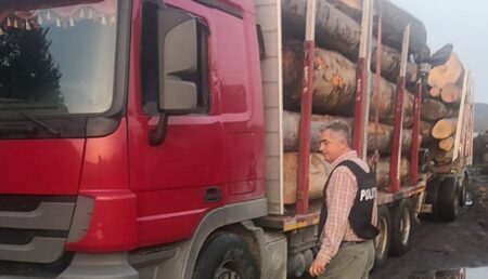 Argeş: Transport ilegal depistat de poliţişti, firmă amendată
