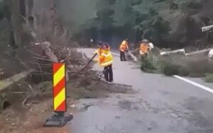 Copaci prăbuşiţi pe Transfăgărăşan
