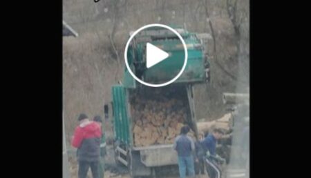 VIDEO: „Hoților de lemne le dau un sfat: nici ascunși printre gunoaie n-o să scăpați!”