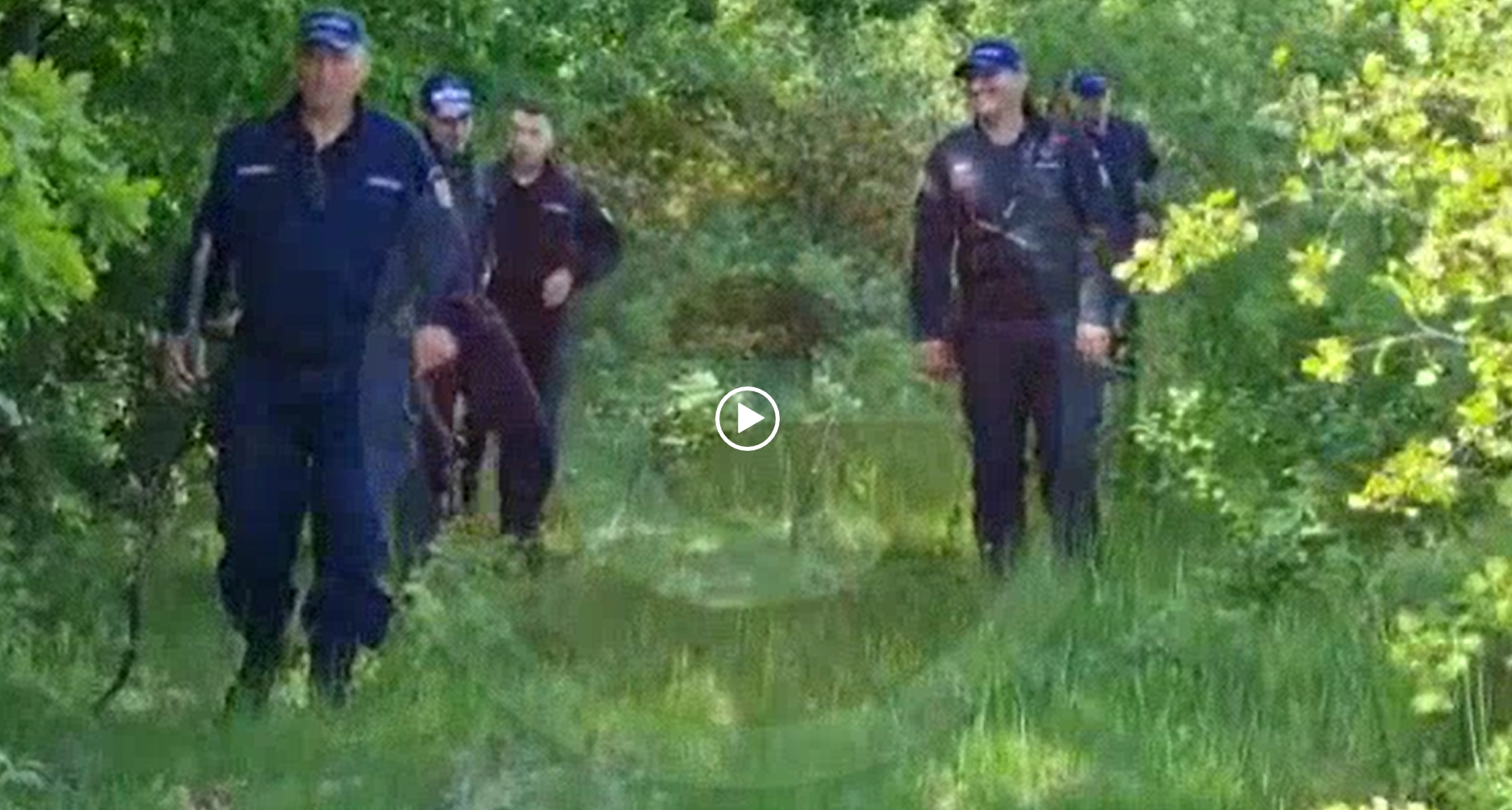 Video: Poliţiştii şi jandarmii argeşeni, exerciţiu amplu de căutare a persoanelor dispărute