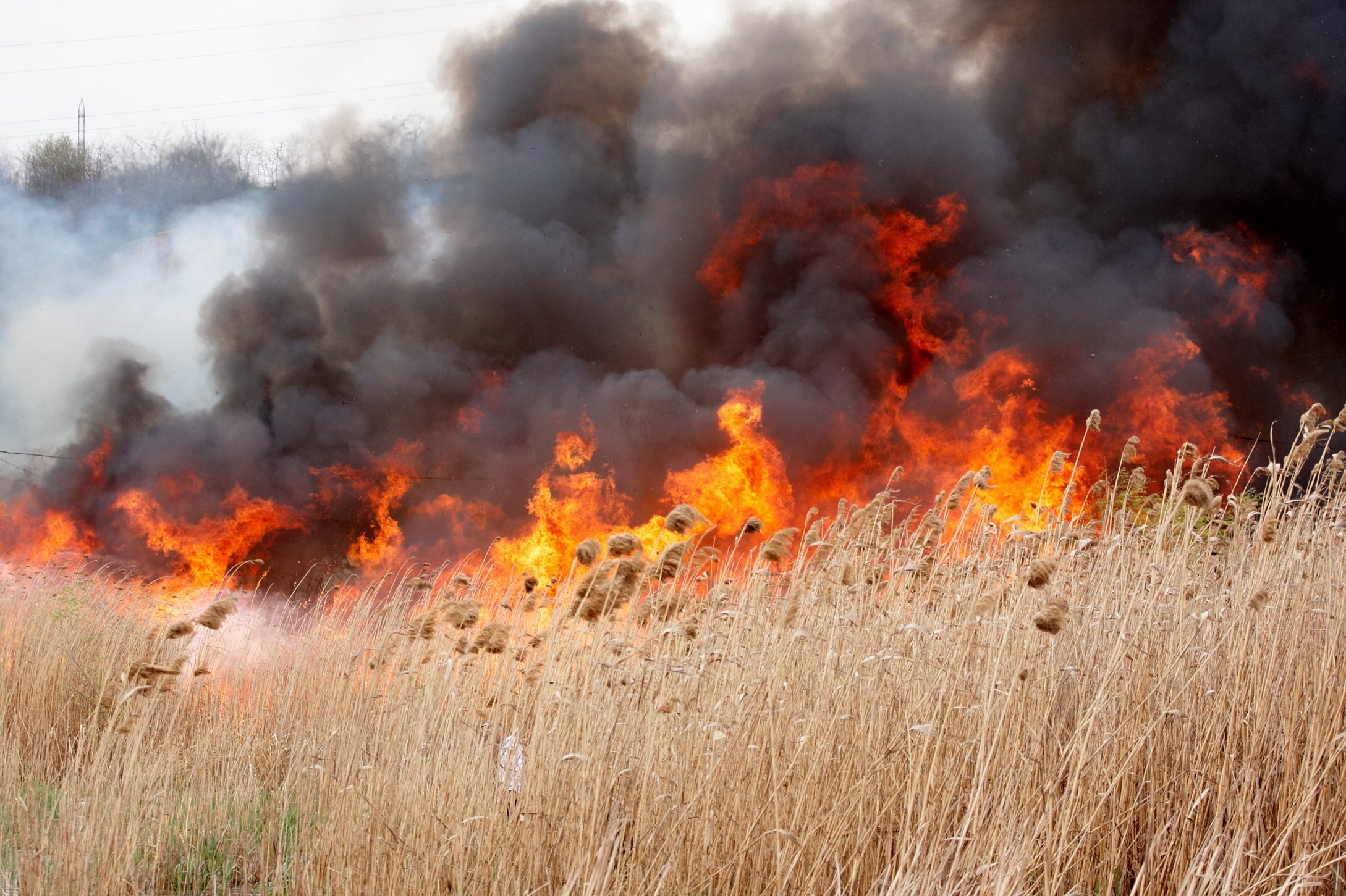 ISU Argeș: Numărul incendiilor crește alarmant. Bilanț incredibil