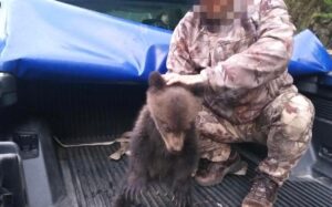 Ursuleţ salvat de un jandarm la Barajul Vidraru