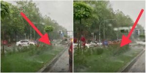 Pe o ploaie torențială, aspersoarele de pe Craiovei udă florile și gazonul