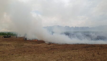 Incendiu de vegetație în spatele unei ferme din Ștefănești