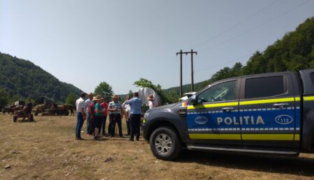 Zeci de polițiști și jandarmi argeșeni, prezenți la târgul de cai de la Berevoești