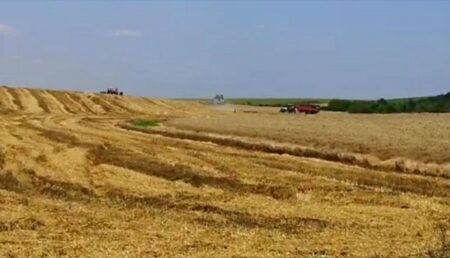 Video – Atenție agricultori! Pericol de incendii la recoltarea cerealelor