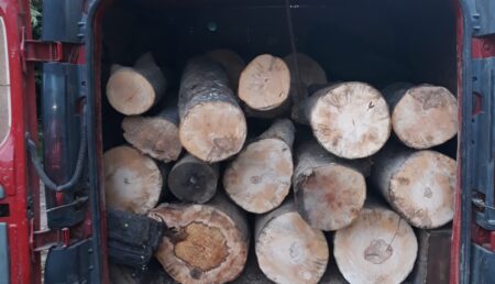 ”Ușurat” de 1.000 de lei după ce a furat lemne cu autoutilitara
