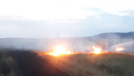 Video – Incendii masive de vegetație în Argeș