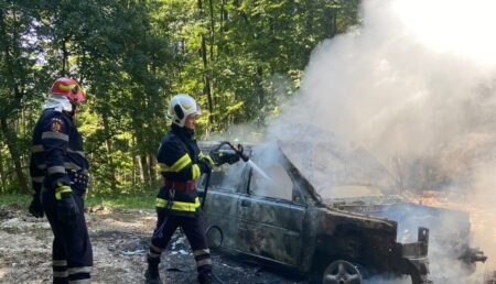 O mașină a ars până la caroserie într-o pădure din Argeș