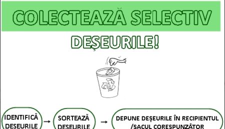 Graficul de colectare a deșeurilor reciclabile