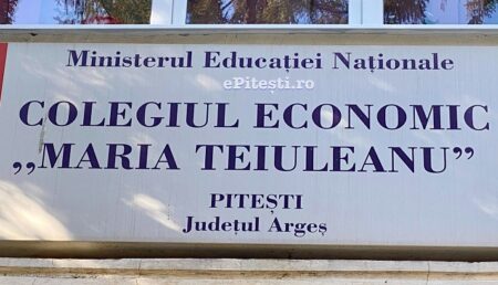 Colegiul Economic „Maria Teiuleanu” din Piteşti, implicat într-un proiect internaţional