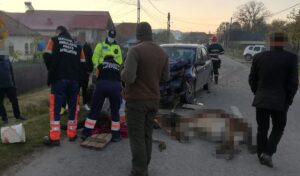 Argeş: Un măgăruş înhămat la căruţă a murit într-un accident de circulaţie