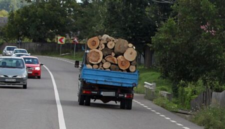 Argeș: Mașini pline cu lemne, confiscate de polițiști!