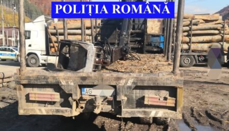 Camion folosit la transporturi ilegale de lemne, confiscat de polițiști