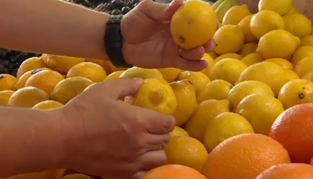 20 de tone de lămâi și mandarine cu pesticide au ajuns în magazine