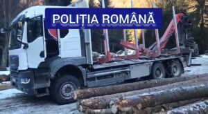 Video – Argeș: Autocamion confiscat de polițiști pentru transport ilegal de lemne