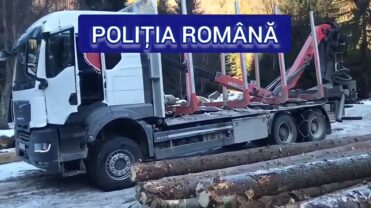 Video – Argeș: Autocamion confiscat de polițiști pentru transport ilegal de lemne